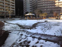 20081231snow.jpg