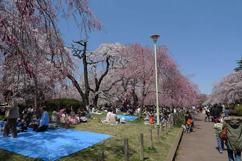 榴岡公園