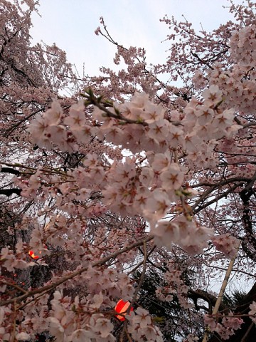 榴岡公園