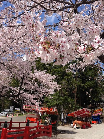 2013/4/19東照宮の桜2